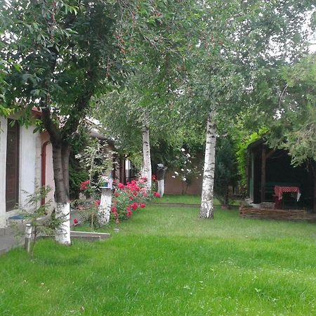 Camping Paradisul Soferilor Onesti Eksteriør bilde