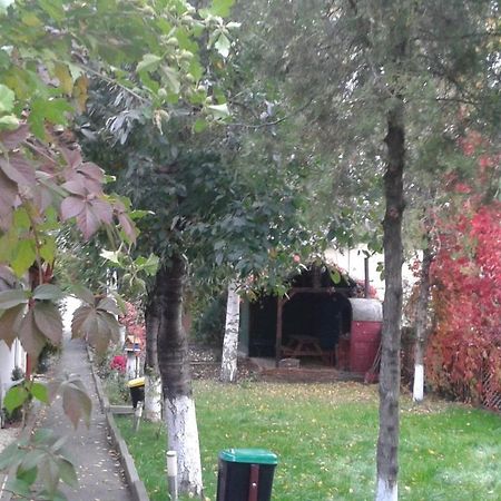 Camping Paradisul Soferilor Onesti Rom bilde