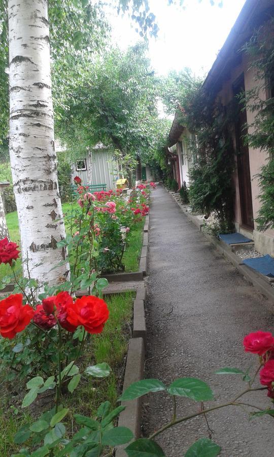 Camping Paradisul Soferilor Onesti Rom bilde