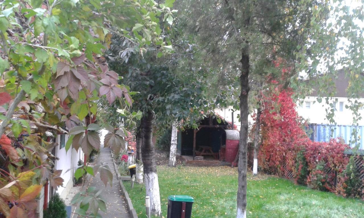 Camping Paradisul Soferilor Onesti Rom bilde